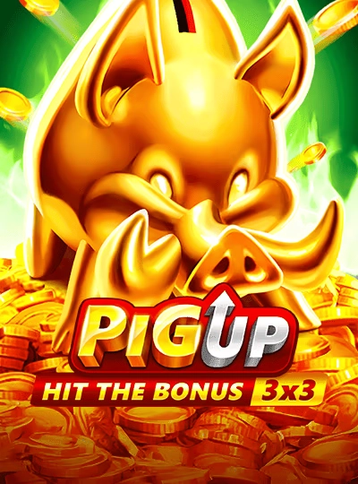 BPL cricket match betting cover